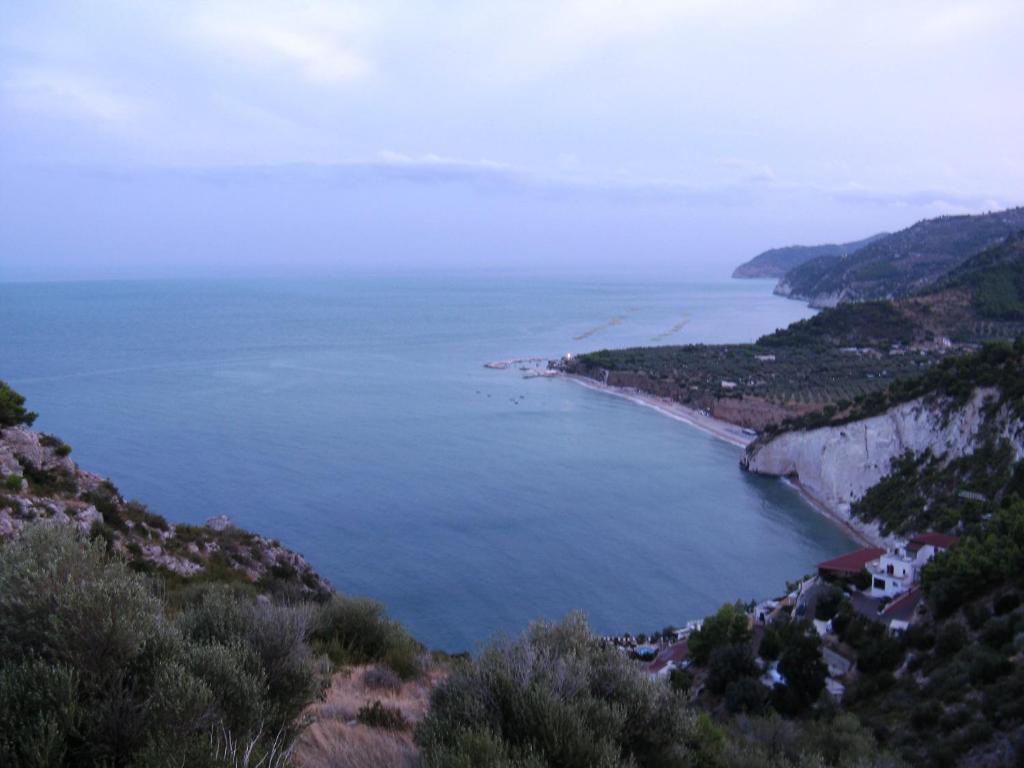 Pensione San Michele Hotel Mattinata Cameră foto